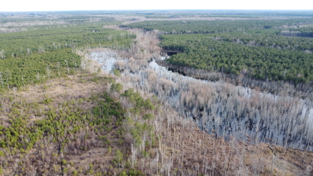 Turnkey Hunting + Investment Property w/ Beaver Swamp - image 34