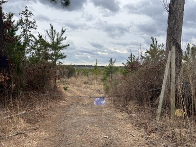 Turnkey Hunting + Investment Property w/ Beaver Swamp - image 7