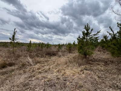 Turnkey Hunting + Investment Property w/ Beaver Swamp - image 8