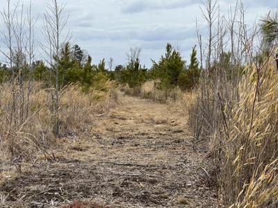 Turnkey Hunting + Investment Property w/ Beaver Swamp - image 27