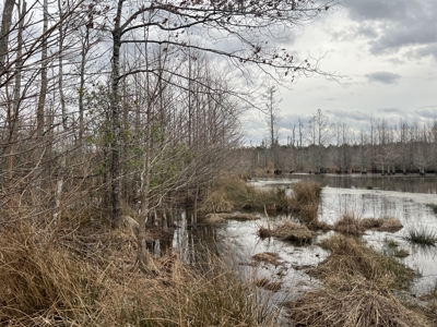 Turnkey Hunting + Investment Property w/ Beaver Swamp - image 24