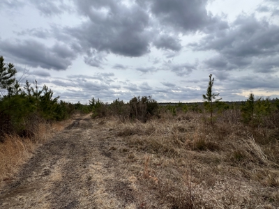 Turnkey Hunting + Investment Property w/ Beaver Swamp - image 9