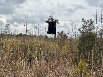 Turnkey Hunting + Investment Property w/ Beaver Swamp - image 19