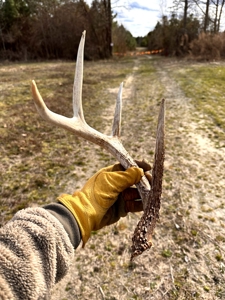 Turnkey Hunting + Investment Property w/ Beaver Swamp - image 2