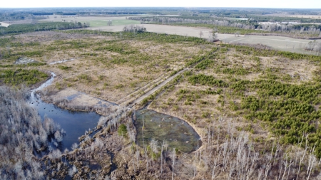 Turnkey Hunting + Investment Property w/ Beaver Swamp - image 36