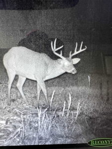 Turnkey Hunting + Investment Property w/ Beaver Swamp - image 4