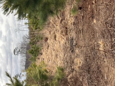 Turnkey Hunting + Investment Property w/ Beaver Swamp - image 13