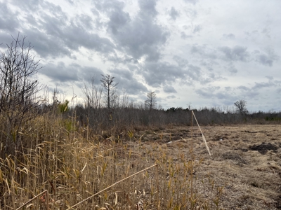 Turnkey Hunting + Investment Property w/ Beaver Swamp - image 25