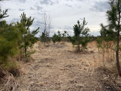 Turnkey Hunting + Investment Property w/ Beaver Swamp - image 29