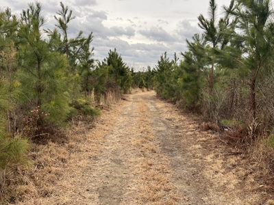 Turnkey Hunting + Investment Property w/ Beaver Swamp - image 12