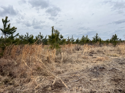 Turnkey Hunting + Investment Property w/ Beaver Swamp - image 30