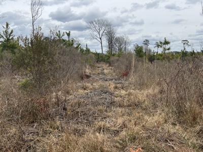 Turnkey Hunting + Investment Property w/ Beaver Swamp - image 11