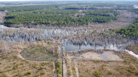 Turnkey Hunting + Investment Property w/ Beaver Swamp - image 32