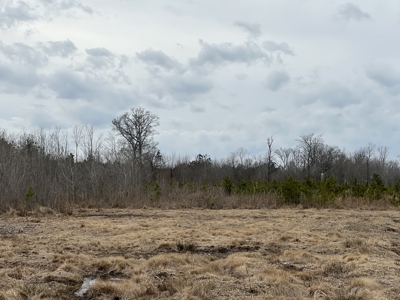 Turnkey Hunting + Investment Property w/ Beaver Swamp - image 26