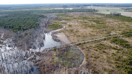 Turnkey Hunting + Investment Property w/ Beaver Swamp - image 35