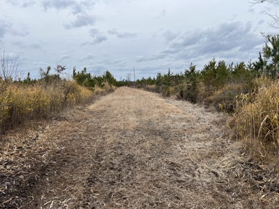 Turnkey Hunting + Investment Property w/ Beaver Swamp - image 28