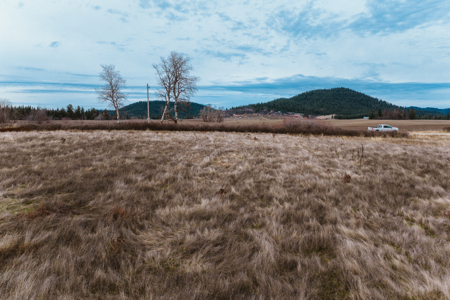 Unrestricted Acreage for Sale in Harrison, ID - image 6