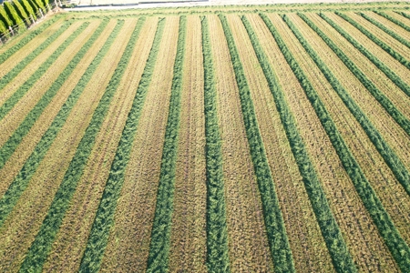 Country Home on Land For Sale in Fruita, CO - image 41