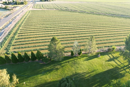 Country Home on Land For Sale in Fruita, CO - image 45