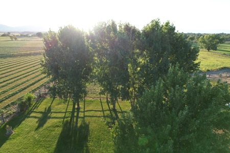 Country Home on Land For Sale in Fruita, CO - image 38