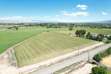 Country Home on Land For Sale in Fruita, CO - image 39