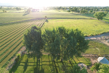 Country Home on Land For Sale in Fruita, CO - image 43