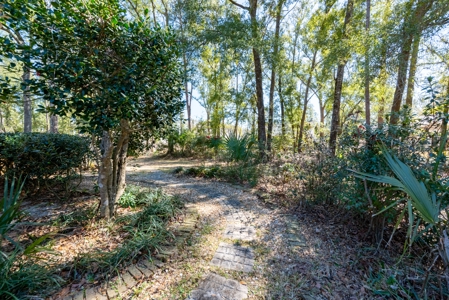 Renovated 2,000+ SF Brick Home for Sale in Live Oak, Florida - image 6