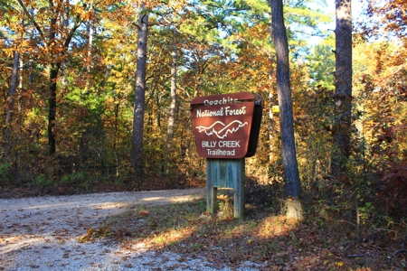 Billy Creek Recreational Cabin – National Forest Area - image 30