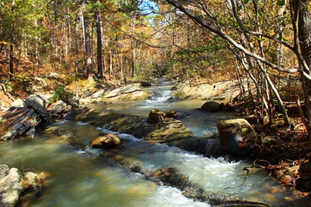 Billy Creek Recreational Cabin – National Forest Area - image 29