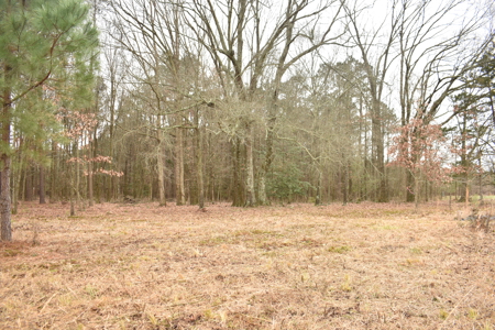 3.48 Acres near Lake Greeson, the River and Murfreesbore, AR - image 4