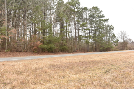 3.48 Acres near Lake Greeson, the River and Murfreesbore, AR - image 9