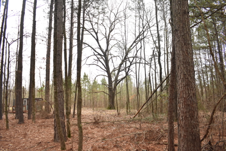 3.48 Acres near Lake Greeson, the River and Murfreesbore, AR - image 2