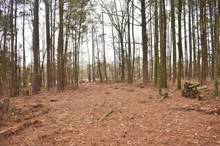 3.48 Acres near Lake Greeson, the River and Murfreesbore, AR - image 3