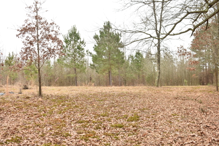 3.48 Acres near Lake Greeson, the River and Murfreesbore, AR - image 5