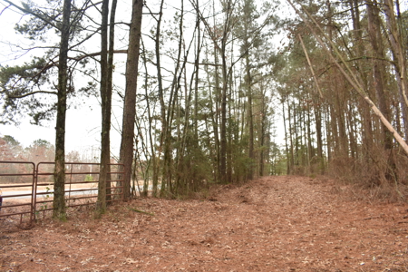 3.48 Acres near Lake Greeson, the River and Murfreesbore, AR - image 7