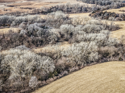 Prime Iowa Investment: 198+ Acre Hill Farm & Timberland - image 28