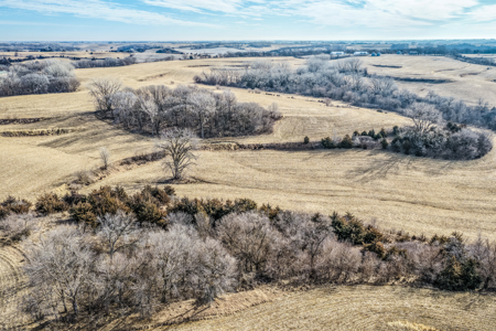 Prime Iowa Investment: 198+ Acre Hill Farm & Timberland - image 21