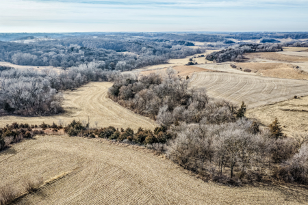 Prime Iowa Investment: 198+ Acre Hill Farm & Timberland - image 22