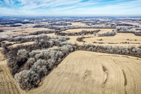 Prime Iowa Investment: 198+ Acre Hill Farm & Timberland - image 24