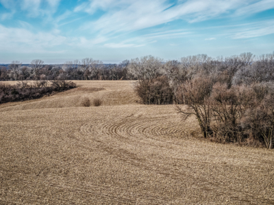 Prime Iowa Investment: 198+ Acre Hill Farm & Timberland - image 9