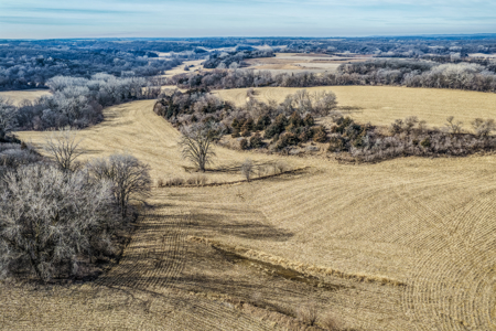 Prime Iowa Investment: 198+ Acre Hill Farm & Timberland - image 20