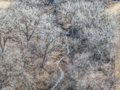 Prime Iowa Investment: 198+ Acre Hill Farm & Timberland - image 14