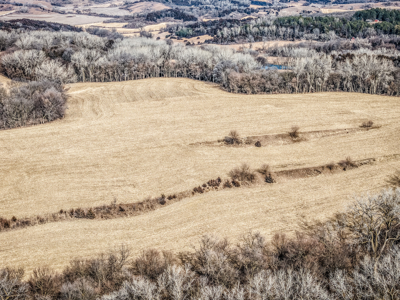 Prime Iowa Investment: 198+ Acre Hill Farm & Timberland - image 2