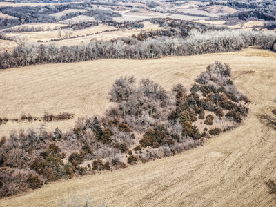 Prime Iowa Investment: 198+ Acre Hill Farm & Timberland - image 7