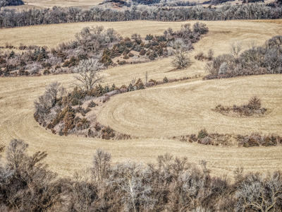 Prime Iowa Investment: 198+ Acre Hill Farm & Timberland - image 1
