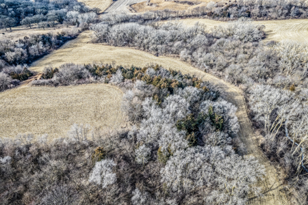 Prime Iowa Investment: 198+ Acre Hill Farm & Timberland - image 4
