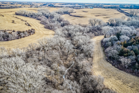 Prime Iowa Investment: 198+ Acre Hill Farm & Timberland - image 15