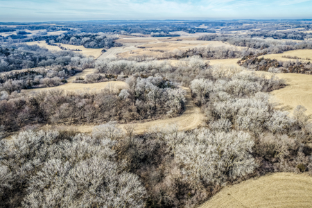 Prime Iowa Investment: 198+ Acre Hill Farm & Timberland - image 3