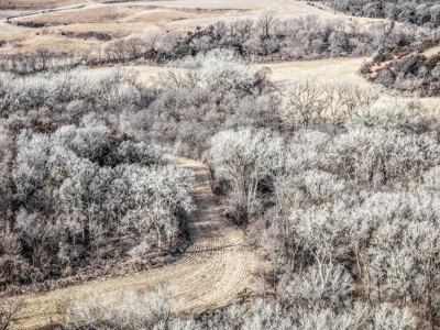 Prime Iowa Investment: 198+ Acre Hill Farm & Timberland - image 29