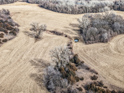 Prime Iowa Investment: 198+ Acre Hill Farm & Timberland - image 6